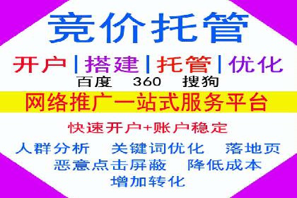 关键词竞价排名案例解析与启示